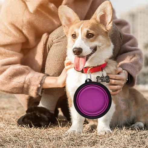 Large Collapsible Dog Bowls, 34oz Portable Travel Water Food Bowls with Carabiner Clip, 2 Pack (Purple + Red)