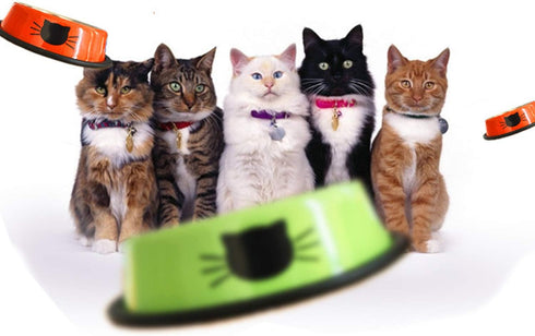 3 PCS SUOXU Stainless Steel Cat Bowls, Non-Skid Base Leak-Proof Feeding Bowls with Cute Cats Painted