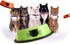 3 PCS SUOXU Stainless Steel Cat Bowls, Non-Skid Base Leak-Proof Feeding Bowls with Cute Cats Painted