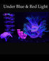 4 Pieces Aquarium Fish Tank Decorations with Glowing Effect, Silicone Glow Artificial Coral Reef Plants