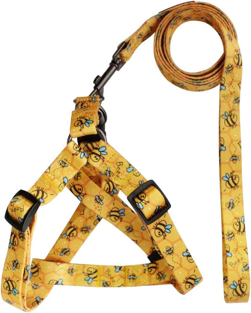 QQPETS Dog Harness Leash Set, Adjustable Heavy Duty No Pull Halter for Small Medium Large Dogs (XS, Yellow Bee)
