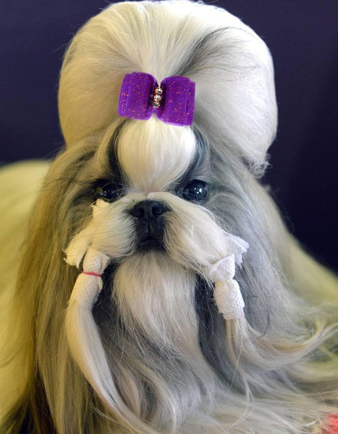 YOY 24PCS / 12 Pairs Adorable Grosgrain Ribbon Pet Dog Hair Bows with Rubber Bands - Puppy Grooming Hair Accessories Set