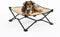 COOLAROO On the Go Cooling Elevated Dog Bed - Portable for Travel & Camping, Standard, Desert Sand