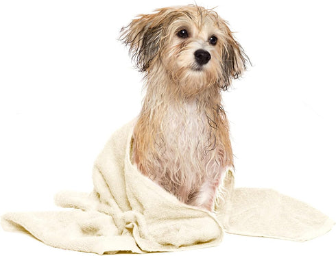 DAN RIVER Large Dog Towels for Drying, 100% Cotton Puppy Bath Towel, Ultra Soft 450 GSM, 20x40 inches, Cannoli Cream