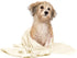 DAN RIVER Large Dog Towels for Drying, 100% Cotton Puppy Bath Towel, Ultra Soft 450 GSM, 20x40 inches, Cannoli Cream