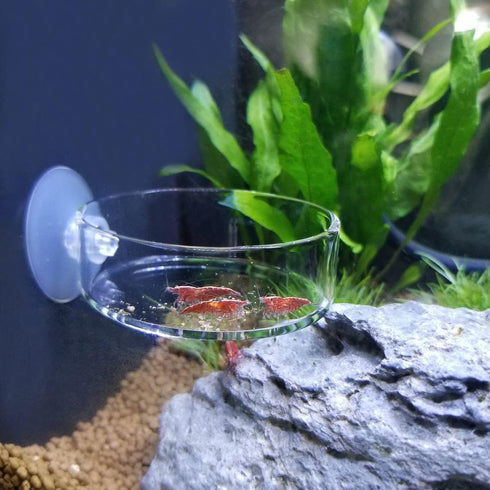 Aquarium Glass Feeder, Shrimp Feeding Dish, Round Clear Fish Tank Food Tray Container with Suction Cup, 65mm