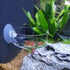 Aquarium Glass Feeder, Shrimp Feeding Dish, Round Clear Fish Tank Food Tray Container with Suction Cup, 65mm