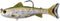 Generic Fishing Lure Trout Swimbait trs131ms 5 Inch Rainbow or Brown Brook Color
