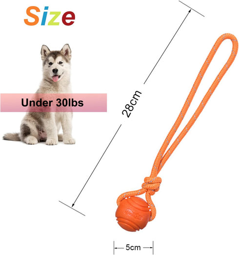 Dog Training Ball on A Rope, Rubber Dog Rope Toys Ball with Handle for Tug of War K9 Training Rewards for Small Dogs