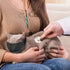 Beikal Nylon Muzzle for Cat Grooming, Anti-Biting and Preventing Scratches, Pet Groomer Helper Tool (L)