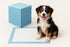 Generic Pet Potty Training Pads for Cats & Dogs 50 Count, 2222 Super-Absorbent