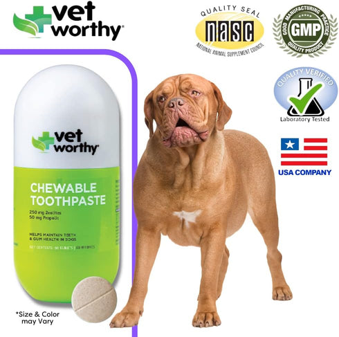60ct Vet Worthy Chewable Toothpaste - Dog Teeth Cleaning Chews with Propolis & Zeolites - Toothpaste for Dogs - Tartar