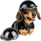 Lesypet Black Small Dog Helmet for Small Breeds, Motorcycle Safety Hat for Outdoor Dogs and Puppies