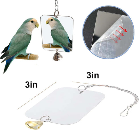 Finch Bird Xylophone with Mirror & Bell Accessories - Musical Training Toy for Conure, Budgie, Cockatiel, Cockatoo
