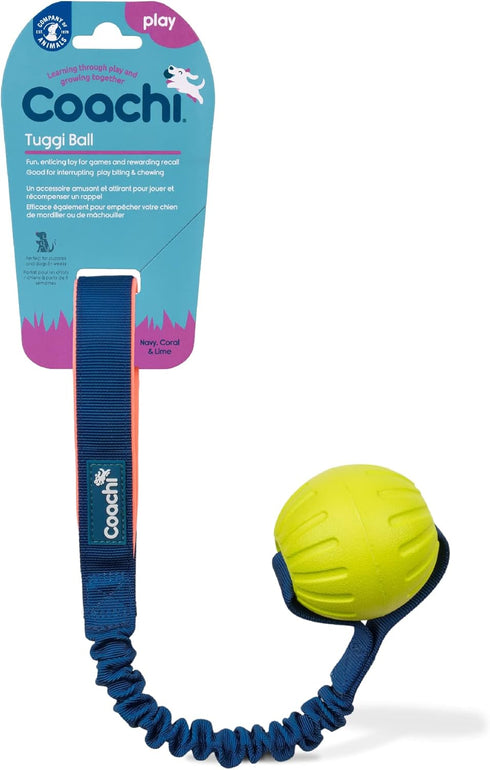 Coachi Tuggi Ball - Interactive Dog Toy for Tug of War, Strong Bungee Handle for Training and Play