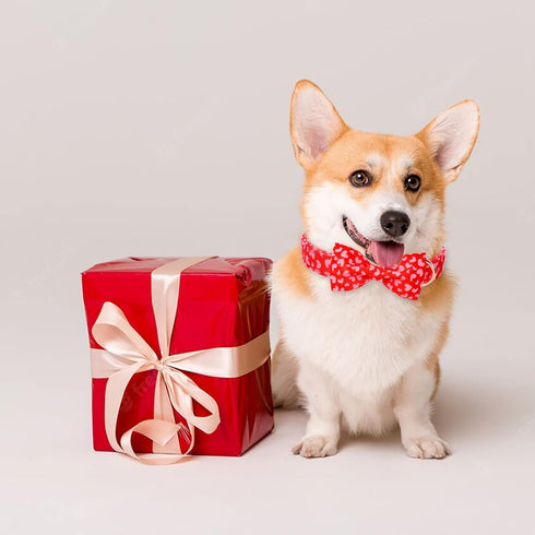 Valentine's Day Dog Collar with Bow Tie, Adjustable Pink Red Love Collar for Small Medium Large Boy & Girl Dogs, L-Neck