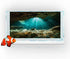 36X18 Inches Fish Tank Background, Sunshine Ocean Floor Decor, Durable Polyester with 8 EVA Double-Sided Tapes
