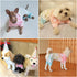 CuteBone Small Dogs Outfit - Soft Puppy Onesies Pjs Dog Pajamas, Comfy Doggie Jumpsuit for All Seasons P09XS