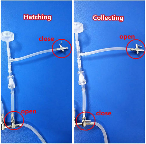 PUPUZAO 3-Way Simple Soda Bottles Brine Shrimp Hatchery Kit Artemia Hatching Tools