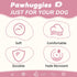 Pink Dog Collar and Leash Set for Medium Dogs, Soft and Breathable, Adjustable with Quick Release Buckle