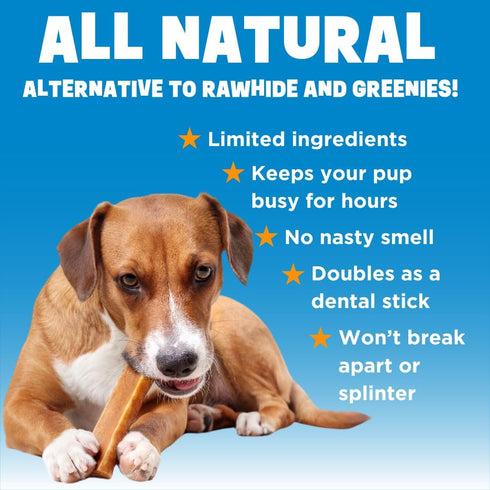 Dinovite YakoSnaks, Himalayan Yak Chews for Dogs, Long Lasting Low Odor Chews, Small Dogs