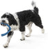 WEST PAW Seaflex Snorkl Dog Tug Chew Toy, 8.25" Large for Moderate Chewers, Made in USA
