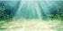 AWERT 36x20 inches Aquarium Background, Aquatic Plant Bubble Underwater Ocean Floor
