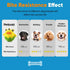 Petbobi Interactive Dog Toys Monster Active Ball - Battery Operated Squeaky Moving Balls for Small Medium Dogs