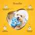 Dogsee Play Treatoy | Long-Lasting Chew Toy for Dog | Fun & Safe Playtime | Puffy Nugget Treat | Helps in Cleaning