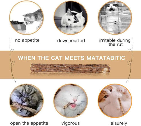10 PCS Cat Catnip Sticks, Natural Matatabi Silvervine Chew Toy, Cleaning Teeth Molar Tools for Cats