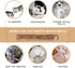 20 PCS Cat Catnip Sticks, Natural Matatabi Silvervine Sticks - Molar Tools Kitten Chew Toy