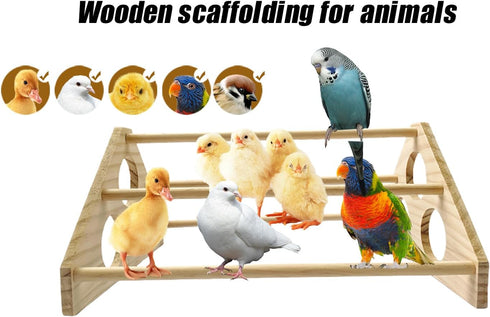 gpgcgsgp Large Wooden Pine Chick Perch Roosting Bar for Baby Chicks Brooder Coop, Chicken Training Toy Stand