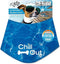 ALL FOR PAWS Chill Out Ice Bandana, Large Size