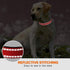 Taglory Reflective Dog Collar S, Red with Safety Locking Buckle, Adjustable Nylon for Small Dogs Female Male