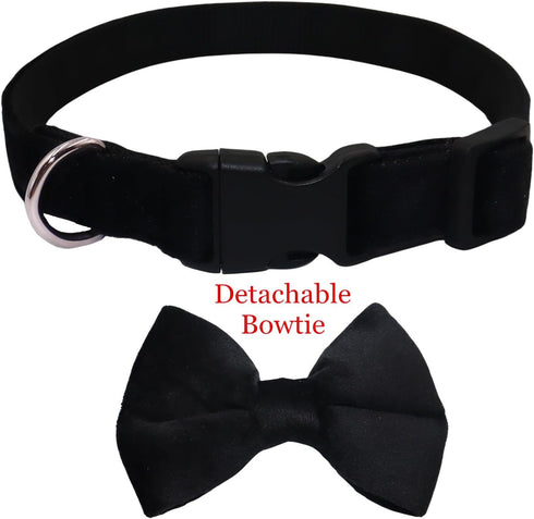 Dog Collar with Bowtie - Soft Velvet Material with Quick Release Buckle for Medium Dogs, Black, M