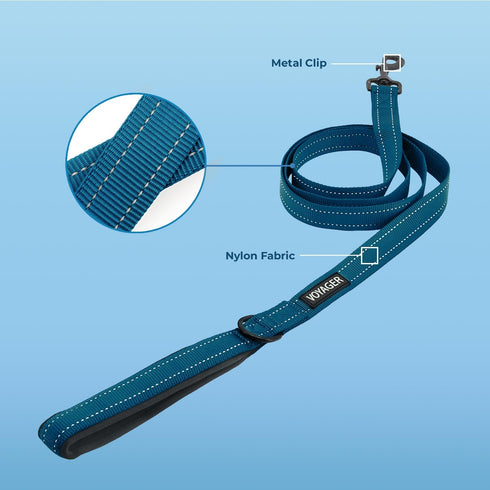 Best Pet Supplies Voyager Reflective Dog Leash with Neoprene Handle, 5ft Long, Supports Small, Medium, and Large Breed Puppies, Cute and Heavy Duty for Walking, Running, and Training - Blue,3/4" x 5ft