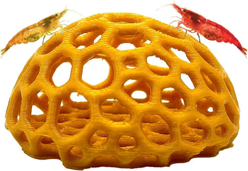 Shrimp Dome Hide - Aquarium Cherry Shrimp Hide - CTWPets Cherry Shimpe