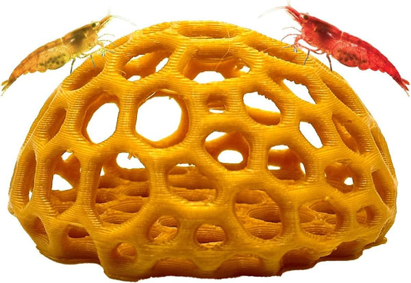 Shrimp Dome Hide - Aquarium Cherry Shrimp Hide - CTWPets Cherry Shimpe