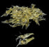 Generic 10 4cm Pcs Simulation Fake Bait Grass Shrimp Lures Soft Shrimp Bait Fishing Gear Professional Design