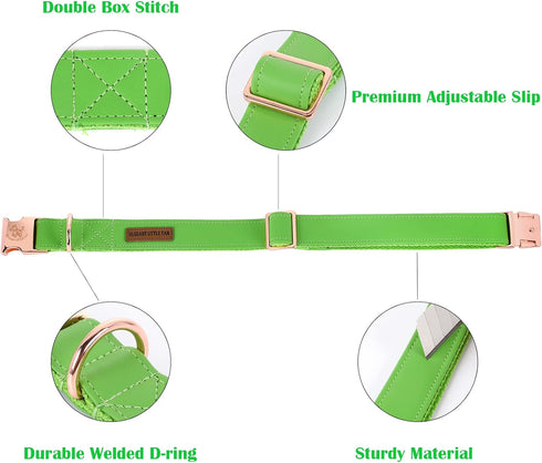 Elegant little tail Dog Collar and Leash, Durable Adjustable Pet Collar for Small Dogs