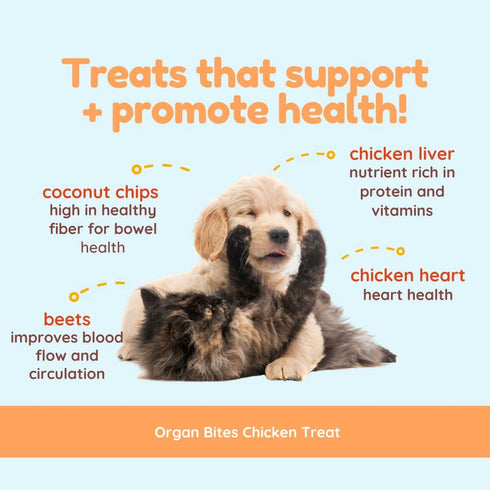 CocoTherapy Organ Bites! Dog and Cat Treat (Chicken + Beet), 3 Oz