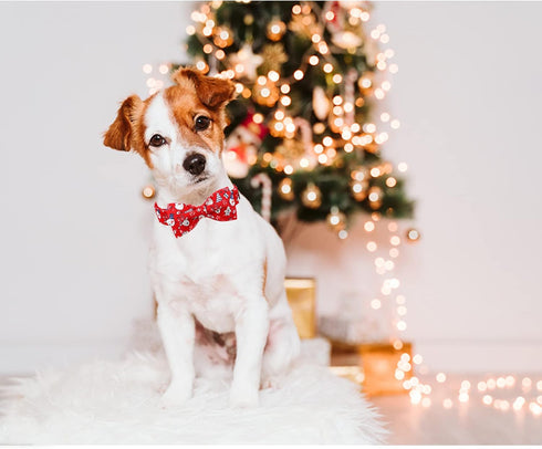 Lionheart Glory Christmas Dog Bow Collar, Santa Print Bow Tie Collar, Adjustable Gift for Large Dogs