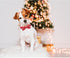 Lionheart Glory Christmas Dog Bow Collar, Santa Print Bow Tie Collar, Adjustable Gift for Large Dogs