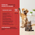 Cranberry UTI Supplement for Cats and Dogs - Urinary Tract Infection Treatment, Kidney and Bladder Support, 2 oz
