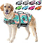 EMUST Dog Life Jackets - High Buoyancy Vests for Swimming, Beach Boating, for Small/Medium/Large Dogs, Greenleaf