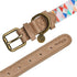 Blueberry Pet Adjustable Dog Collar, Large, Shades of Rainbow Multicolor Triangles, Genuine Full Grain Leather &