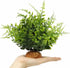 WOLEDOE Fake Green Boston Fern, Reptile Plants for Terrarium, Amphibian Tank Accessories Habitat Decor fit Crested