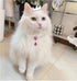 2 Row Pearls Collar for Cats, Rhinestone Necklaces for Small Dogs, Pearl Collar Accessories (Medium, Rosy)