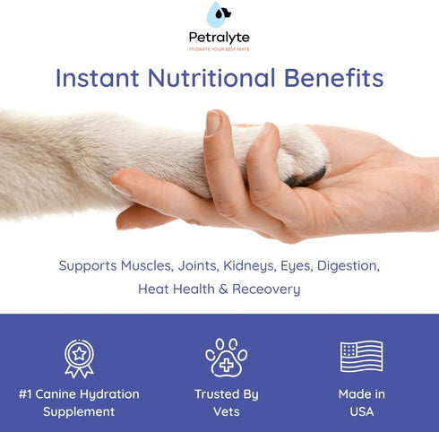 Dog Electrolytes and Joint Supplement, Glucosamine, Chondroitin & MSM for Inflammation and Mobility Support