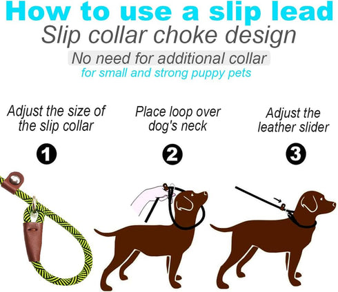 Slip Lead Dog Leash, 1/4" x 5ft No Pull Slip-on Training Leash for Small and Medium Dogs (Green)
